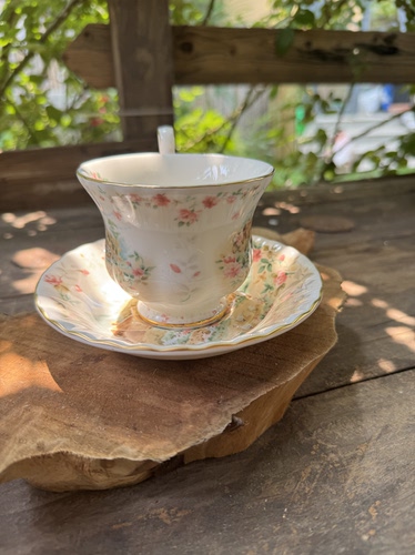 英国Royal Albert皇家阿尔伯特四季系列骨瓷咖啡杯约220ml夏季杯