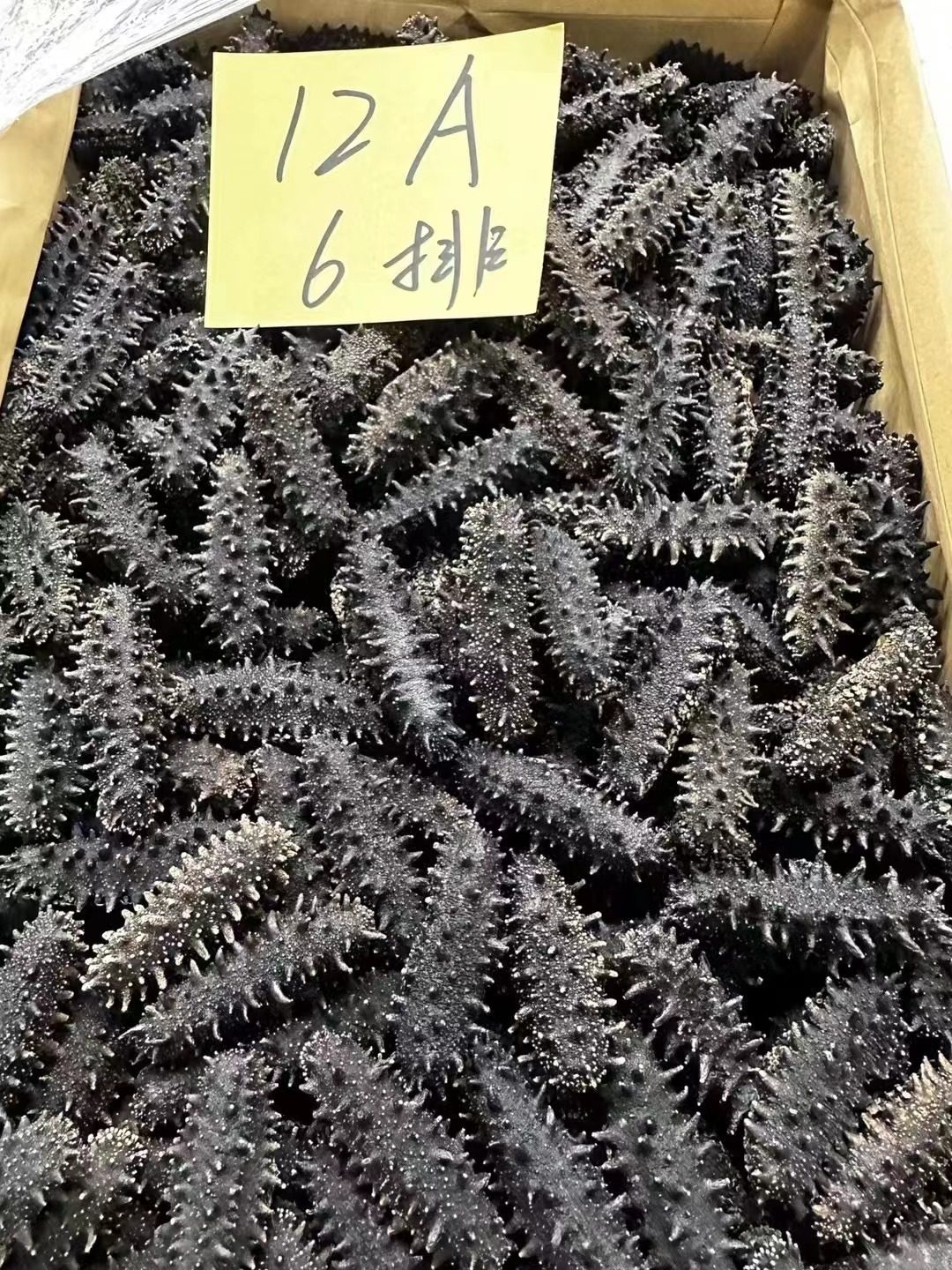 大连7A淡干6排海参干货500g深海辽刺参海礼盒一斤装12A高泡发率