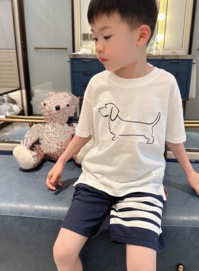 兄妹装儿童夏季男女童小中大简约白色狗狗短袖T恤短裤百褶裙子
