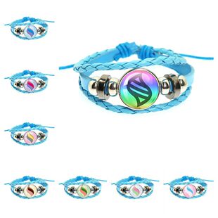 蓝色皮绳手链跨境Pokemon宝可梦时光宝石火焰鸡喷火龙mega进化