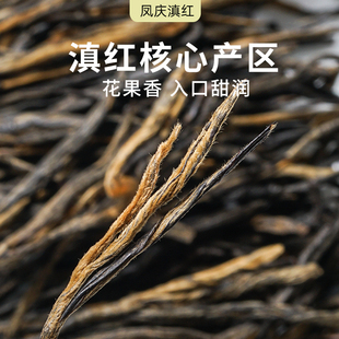 经典 2024特级凤庆滇红茶春茶 云南红茶蜜香金针250g袋装 滇红茶叶