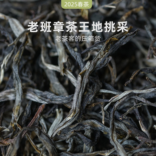 2025年春茶 勐海老班章茶王地挑采古树茶 普洱茶生茶 一生茶语