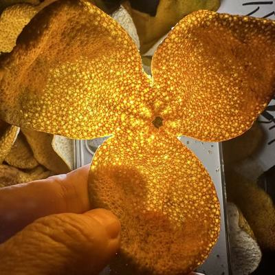 自己摘4万斤果品质有保证。