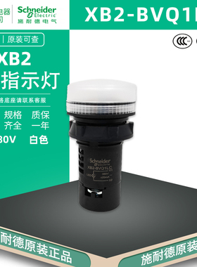 施耐德 XB2BVQ1LC 电源指示灯白色AC380V 安装直径22mm LED信号灯