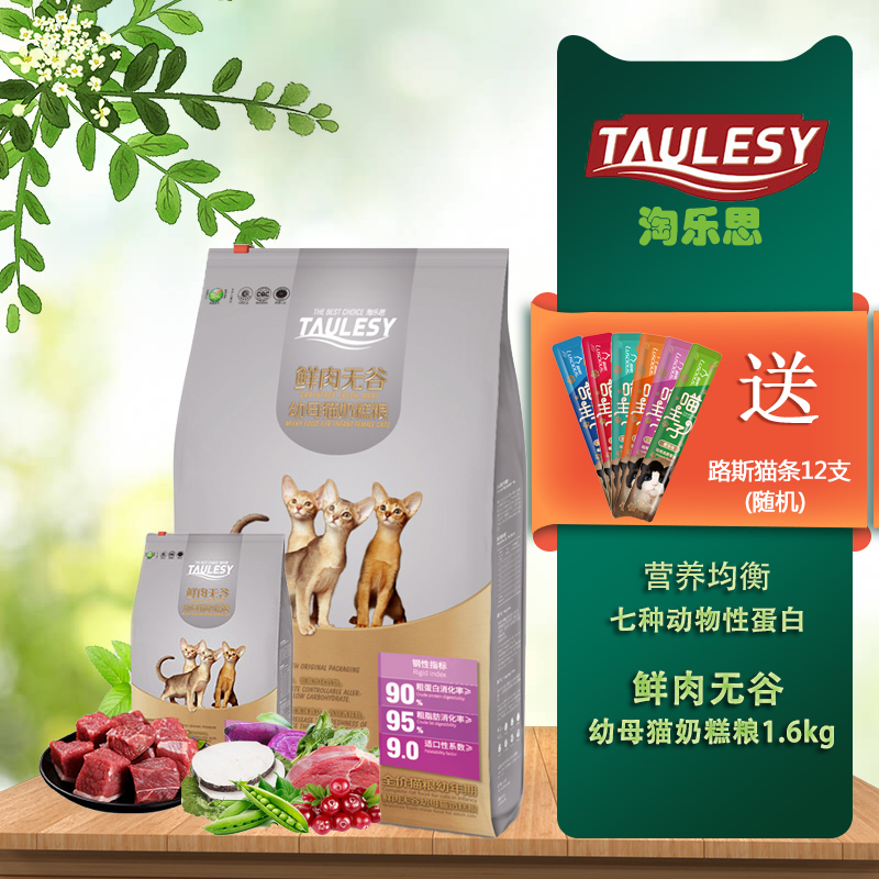 鲜肉英短蓝猫挑嘴天然粮