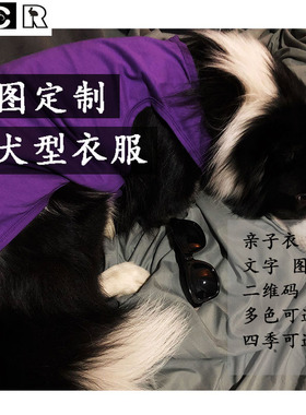 定制图片球衣 二维码狗金毛卫衣设计中大型犬边牧猫咪宠物衣服
