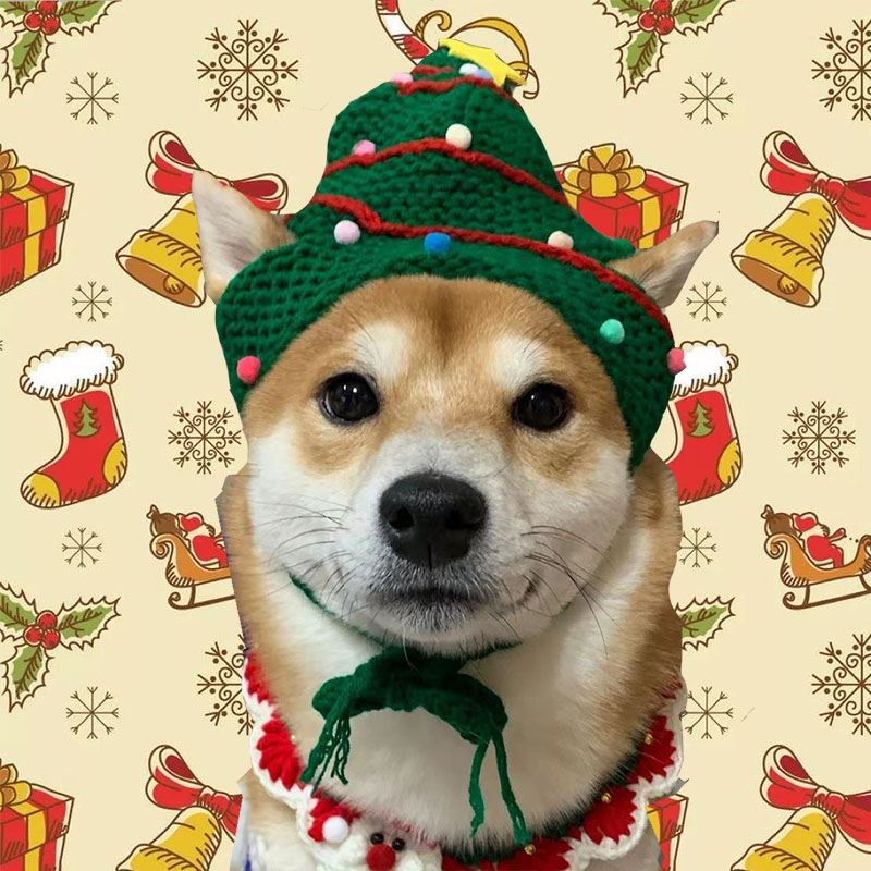 万圣节针织帽头饰生日中型犬