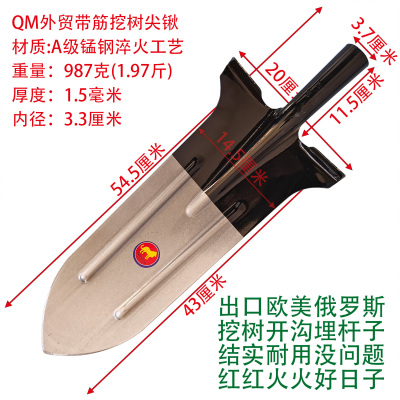QM外贸钢锹挖树大尖锹加厚出口