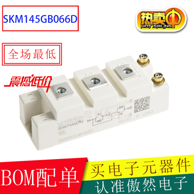 电源模块SKM145GB066DIGBT模块