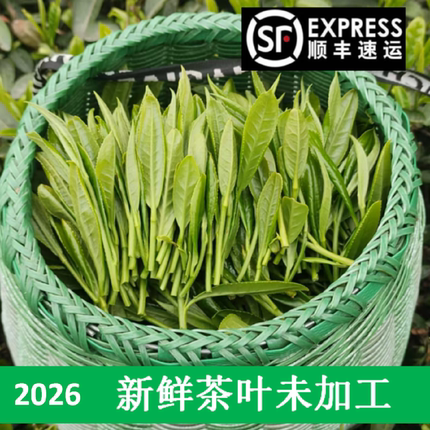 擂茶大山生新鲜嫩湿茶叶未加工老树茶青顺丰包邮春茶绿茶抹茶粉