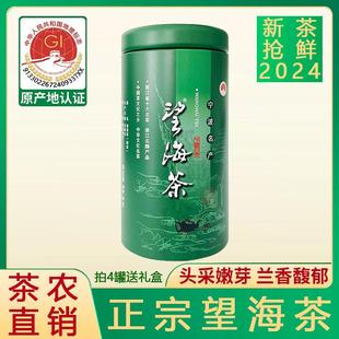 特级望海茶62.5克2024年明前新茶罐装宁波宁海特产高山云雾绿茶叶