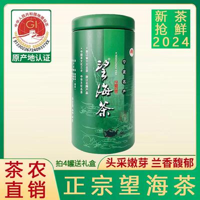 特级望海茶62.5克2025年明前新茶罐装宁波宁海特产高山云雾绿茶叶
