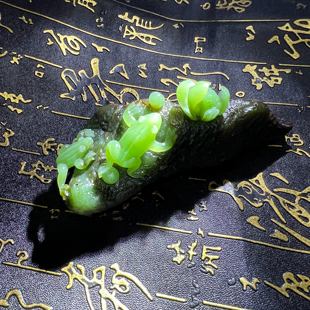 170g新疆和田碧玉戈壁料原石苹果绿天然雕刻呱呱来财把件摆件料