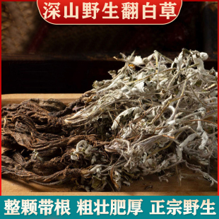中药材翻白草500g克野生鸡腿根鸡拔腿天藕叶下白鸡爪参泡茶泡水