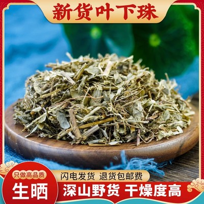 叶下珠500g克 中药材叶下珠草药 叶下珠茶 珍 珠草 珠仔草 叶下竹
