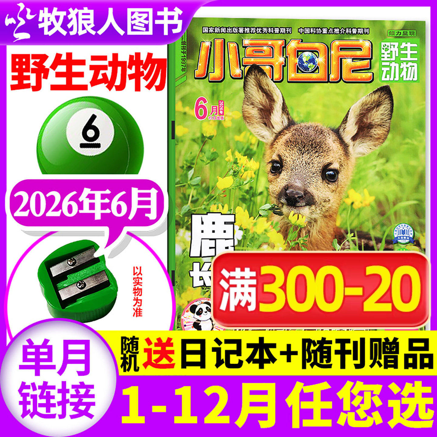【带赠品】小哥白尼杂志野生动物2026年6月（全年/半年订阅/2025年）6-15岁中小学生科普百科军事科学漫画过刊单本