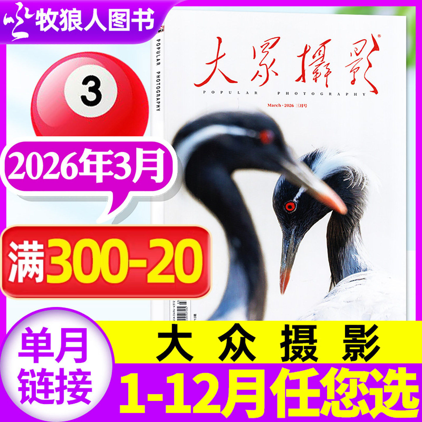 【正版】大众摄影杂志2026年2月（1-3月/2025年/全年/半年订阅）人像摄影照相技巧案例器材影片非过刊期刊【单本】