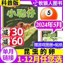 小聪仔 全年 2024年5月 科普版 12月 半年订阅 含1 贴纸 赠游戏图册 2022过刊杂志 8岁幼儿兴趣智力开发儿童2023