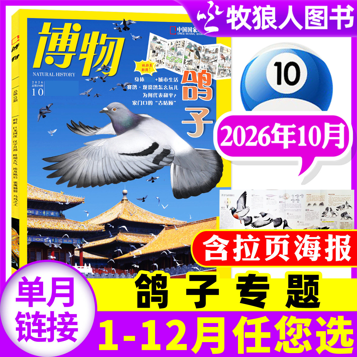 【鼯鼠专题】博物杂志2026年4月【1-3月/2025年1-12月/全年/半年订阅】青少年学生科普百科怪怪宠物箱/四时有味增刊万物好奇号过刊