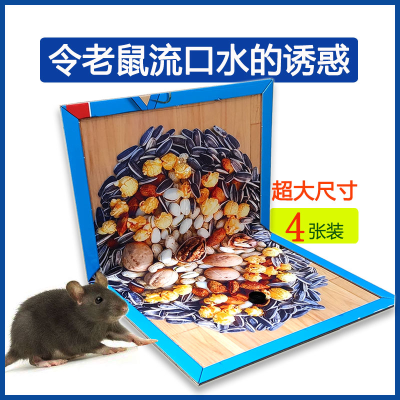 达豪老鼠贴自带诱惑大尺寸胶60克