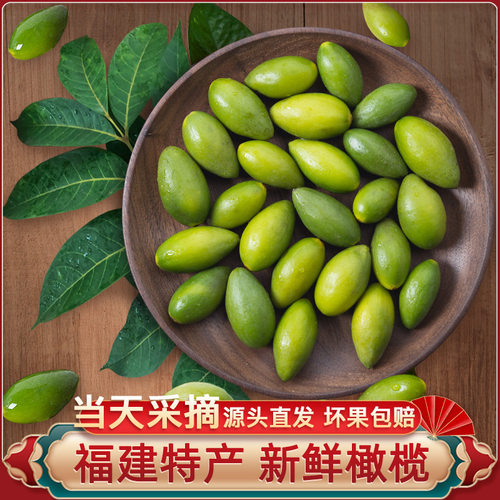 新鲜橄榄1000g青橄榄产地直发
