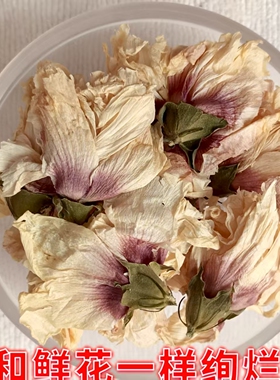 当年新鲜晒干干花食用木槿花猪膏花干花煮汤泡茶福建特色菜