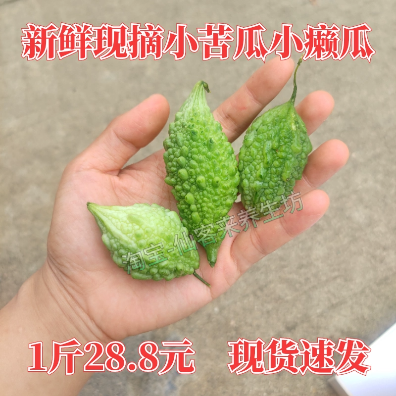 当季南方山苦瓜金铃子癞瓜小苦瓜仔炖煲汤凉拌酒店潮汕小吃1斤