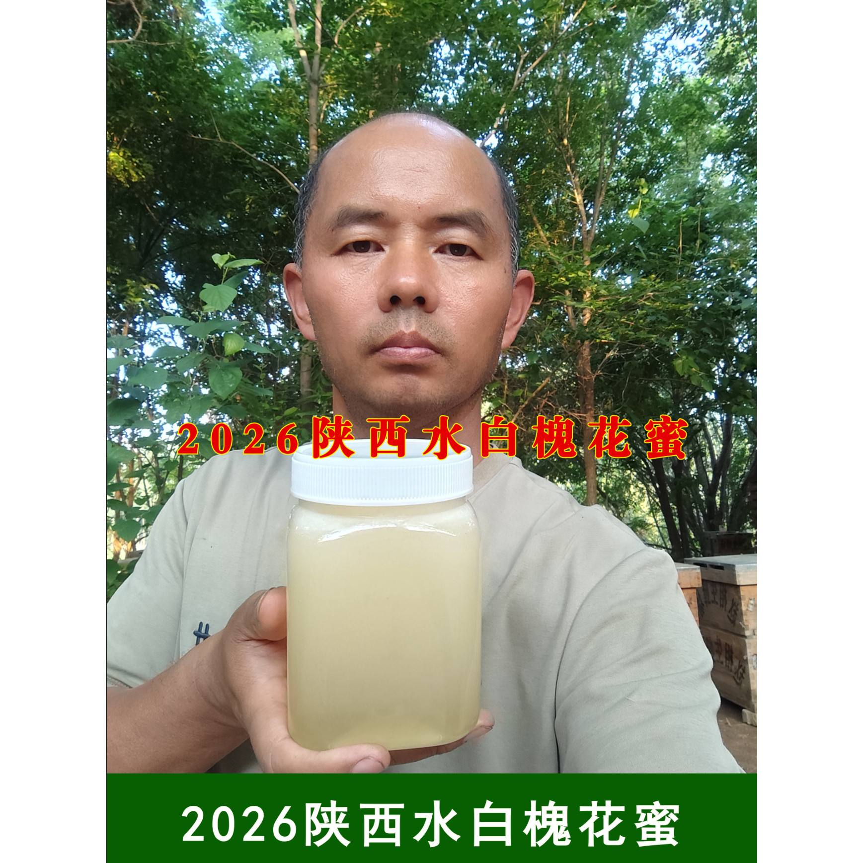 2026纯正陕西水白洋槐蜂蜜二斤装天然成熟原蜜槐花蜜蜂蜜