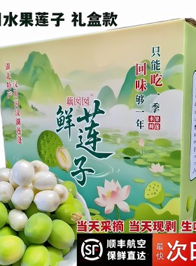 汉川鲜莲子现采摘藕囡囡生吃清甜