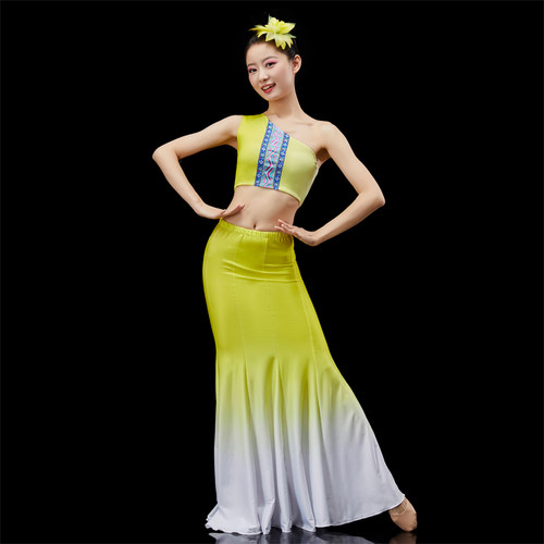 傣族舞蹈服装女傣族演出服女