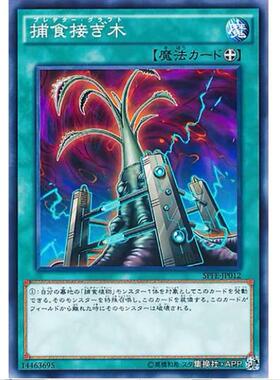 [超牌] 游戏王 捕食嫁接 SPFE SP6 融合执行者 日文 N/NPR