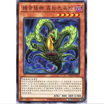 游戏王 捕食植物 露松水螅龙 CL02  经典包02 简中 N