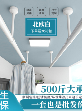 阳台固定晾衣杆不锈钢晾衣架 白色北欧 ins创意凉衣杆吊顶装 单杆