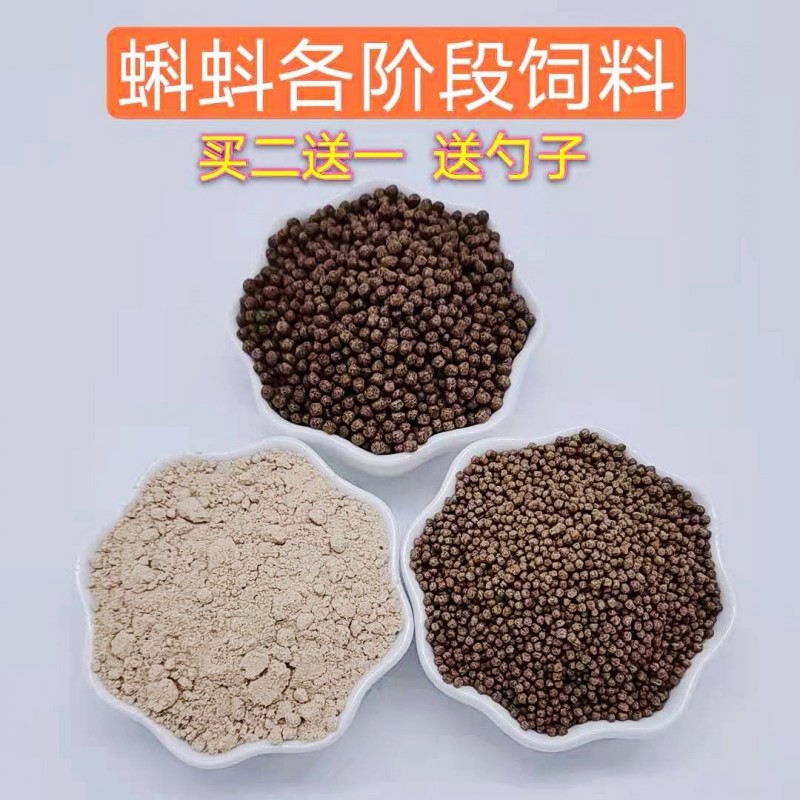 小蝌蚪飼料青蛙飼料蝌蚪活體食物