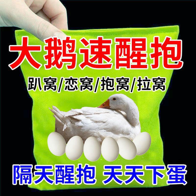 鹅抱窝速醒药专治家禽抱窝卧不起