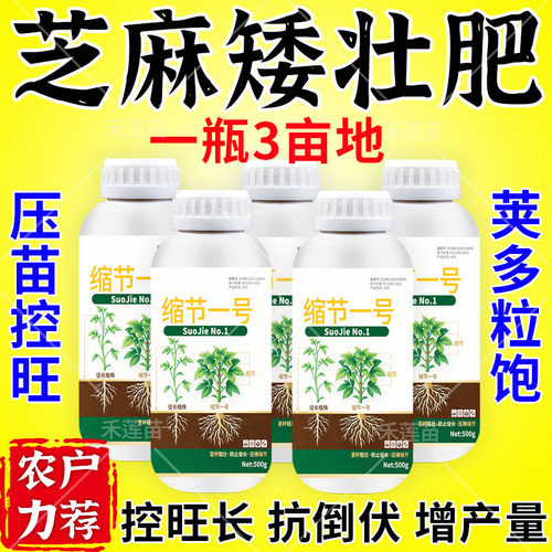 芝麻控旺药矮壮素快速生根控旺长多结荚叶面肥芝麻促长高产剂正品