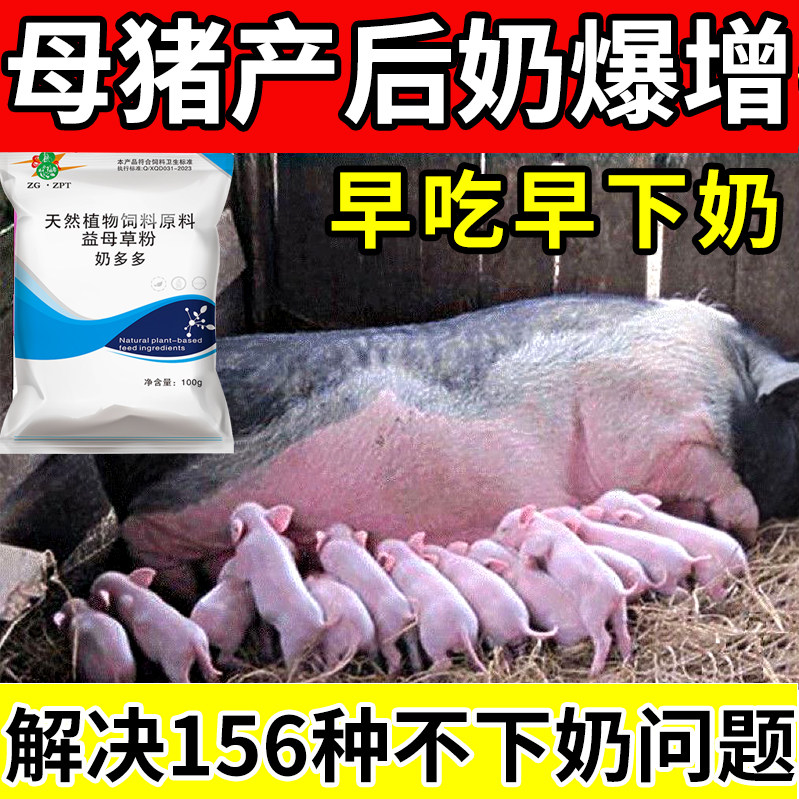 【当天下奶】兽用正品奶多多母猪下奶催乳母猪产后快速催奶灵