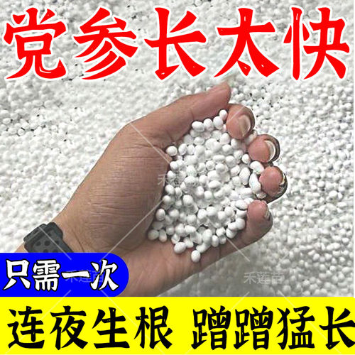 党参追苗剂提苗生根预防死棵抗病害根腐生根壮苗膨大根茎提高产量
