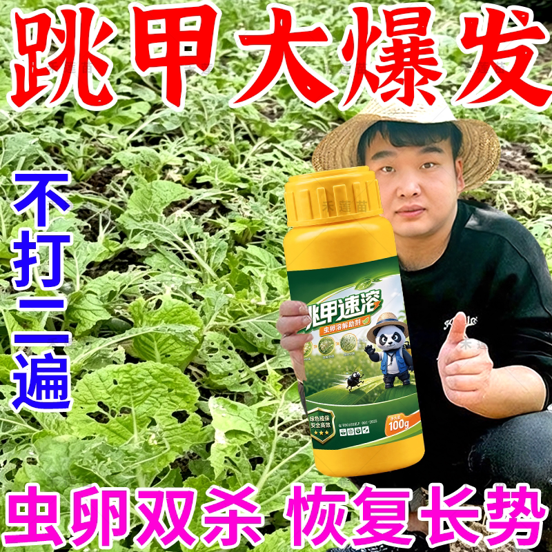 黄条跳甲专用药叶菜蔬菜抗性跳甲专用专清虫卵双杀强力助剂农用药