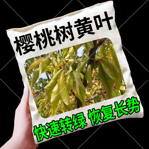 樱桃树专用肥樱桃树黄化黄叶卷叶一喷灵补充营养快速转绿叶面肥