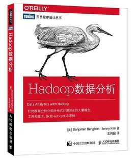 图灵程序设计丛书 Hadoop数据分析