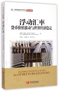 浮动汇率 货币价值波动与世界经济稳定