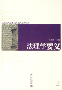 法理学要义