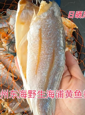 温州东海新晒无头白梅鲞咸鱼干海鲜干货自晒黄鱼鲞海捕野生黄鱼干