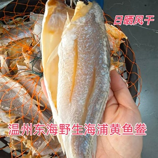 温州东海新晒无头白梅鲞咸鱼干海鲜干货自晒黄鱼鲞海捕野生黄鱼干