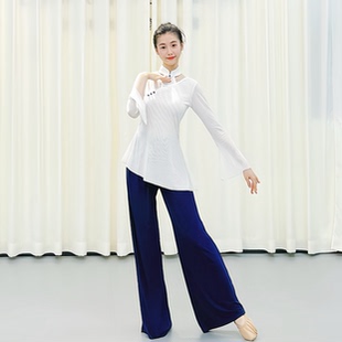 古典舞蹈练功服上衣艺考基训服网纱飘逸老师专用成人训练舞蹈服装