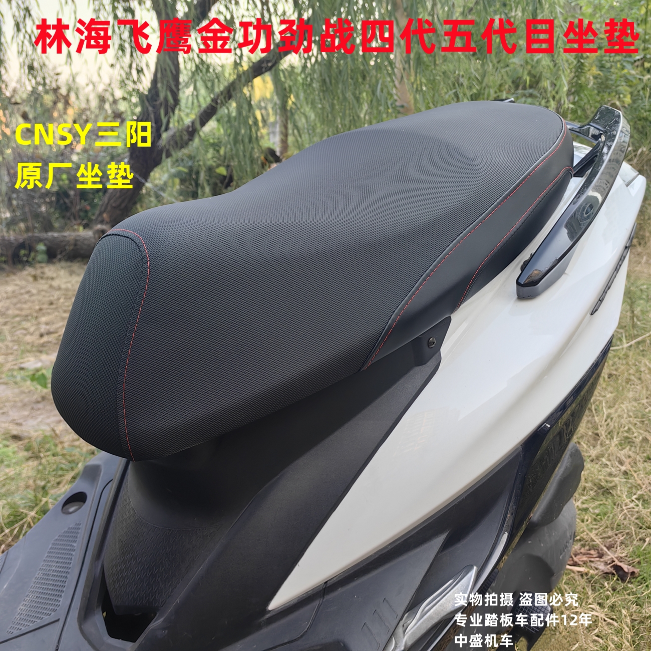 CNSY三阳F1原厂坐垫林海飞鹰金功