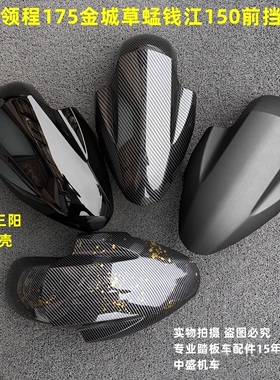 适用林海领程175LMAX150-B金城草蜢200钱江150FORCE155前挡泥板盖