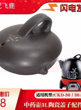 养生煲中药煎药壶熬药