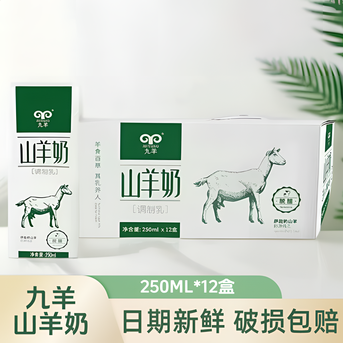 九羊羊奶萨能盒装新鲜早代餐老人